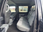 2023 F-150 Thumbnail 10