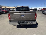 2023 F-150 Thumbnail 6
