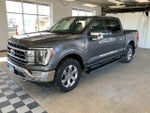 2021 F-150 Thumbnail 5