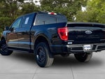 2021 F-150 Thumbnail 4