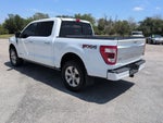 2021 F-150 Thumbnail 4