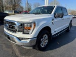 2021 F-150 Thumbnail 3