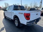 2021 F-150 Thumbnail 5
