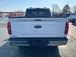 2021 F-150 Thumbnail 6
