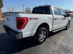 2021 F-150 Thumbnail 7
