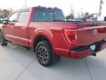2021 F-150 Thumbnail 8