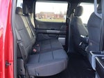 2021 F-150 Thumbnail 12