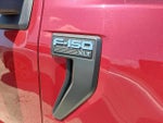 2021 F-150 Thumbnail 3