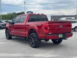 2021 F-150 Thumbnail 5