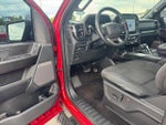 2021 F-150 Thumbnail 14