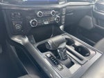 2021 F-150 Thumbnail 19