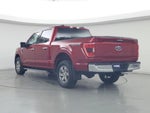 2021 F-150 Thumbnail 2