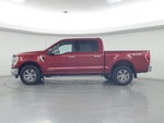 2021 F-150 Thumbnail 3