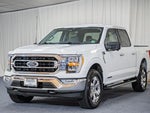 2021 F-150 Thumbnail 3