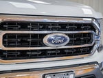 2021 F-150 Thumbnail 8