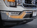 2021 F-150 Thumbnail 11