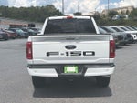 2021 F-150 Thumbnail 7