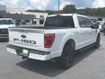 2021 F-150 Thumbnail 8