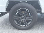 2021 F-150 Thumbnail 19