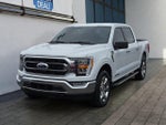 2022 F-150 Thumbnail 7