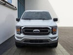 2022 F-150 Thumbnail 8