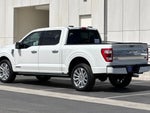 2022 F-150 Thumbnail 5