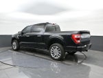 2023 F-150 Thumbnail 5