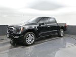2023 F-150 Thumbnail 34