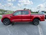 2023 F-150 Thumbnail 1