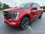 2023 F-150 Thumbnail 4