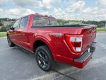 2023 F-150 Thumbnail 5
