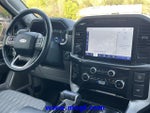 2023 F-150 Thumbnail 6