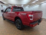 2023 F-150 Thumbnail 5