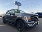 2023 F-150 Thumbnail 4