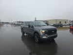 2023 F-150 Thumbnail 3