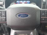 2023 F-150 Thumbnail 12