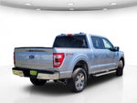 2023 F-150 Thumbnail 7