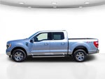 2023 F-150 Thumbnail 10