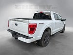 2023 F-150 Thumbnail 3