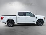 2023 F-150 Thumbnail 11