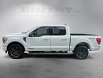 2023 F-150 Thumbnail 16