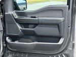 2023 F-150 Thumbnail 8