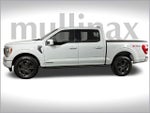 2023 F-150 Thumbnail 11