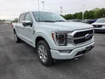 2023 F-150 Thumbnail 6