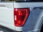 2023 F-150 Thumbnail 9