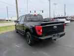 2023 F-150 Thumbnail 4