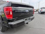 2023 F-150 Thumbnail 9