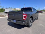 2023 F-150 Thumbnail 5