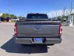 2023 F-150 Thumbnail 6