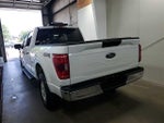 2023 F-150 Thumbnail 3